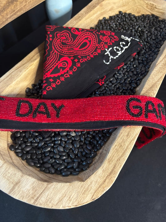 Texas Tech Gameday Scarf